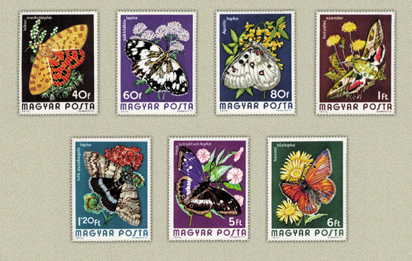 bbor medvelepke, sakktbla lepke, Apoll lepke, kutyatej szender, kkves bagolylepke, nagy sznjtsz lepke, havasi tzlepke