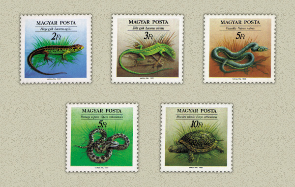 frge gyk, zld gyk, vzisikl, parlagi vipera, mocsri tekns